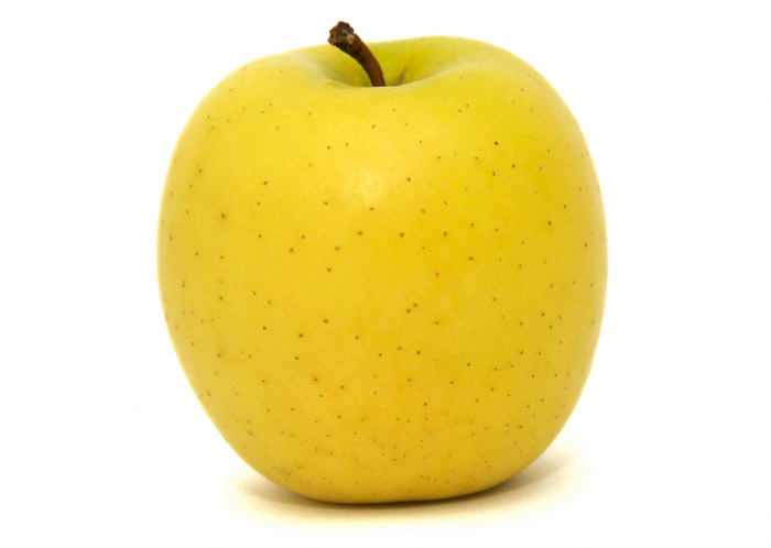 Los Manzanos Golden Delicious Amarillo pueden llegar a alcanzar alturas de hasta 12 metros. Los Manzanos son de hoja caduca, su porte es redondo y las hojas son ovoides con ligera forma dentada al borde.  Las flores de los Manzanos son blancas con tintes rojos o rosados. Se suelen agrupar en formaciones de varias flores. Los Manzanos florecen en primavera, previamente a la aparición de las hojas, y es de bella factura.  La época de maduración de los Manzanos depende del territorio, y por lo tanto de las condiciones climáticas particulares, donde se encuentran. De forma orientativa para la península ibérica las épocas de maduración de las diversas clases de Manzanos sería la siguiente:
